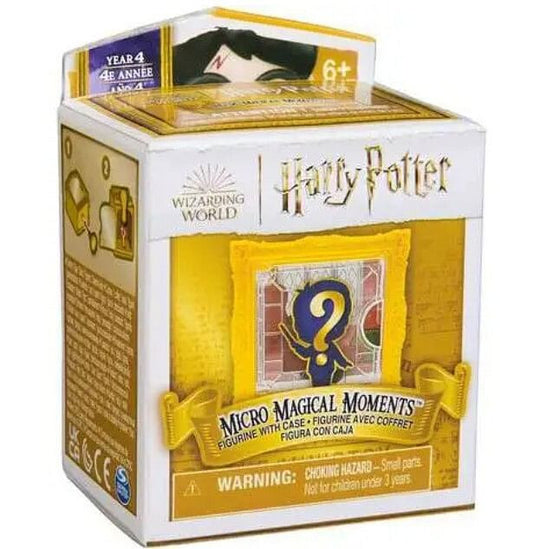 Harry Potter Year 4 Micro Magical Moments-0