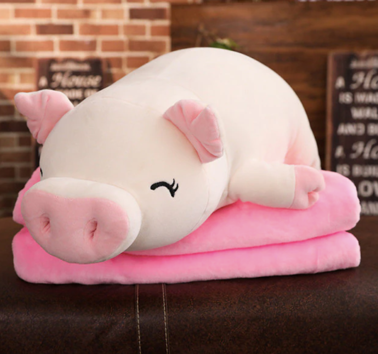 Squish Pig Plush Toy-1