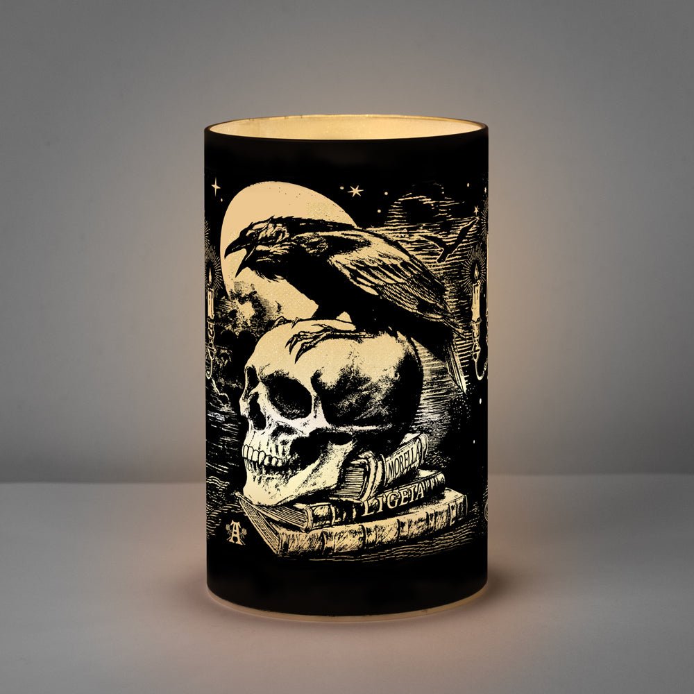 Edgar Allan Poe 'Nevermore' Raven LED Light-0
