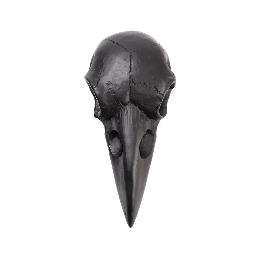 Raven Skull Hand Mirror-0